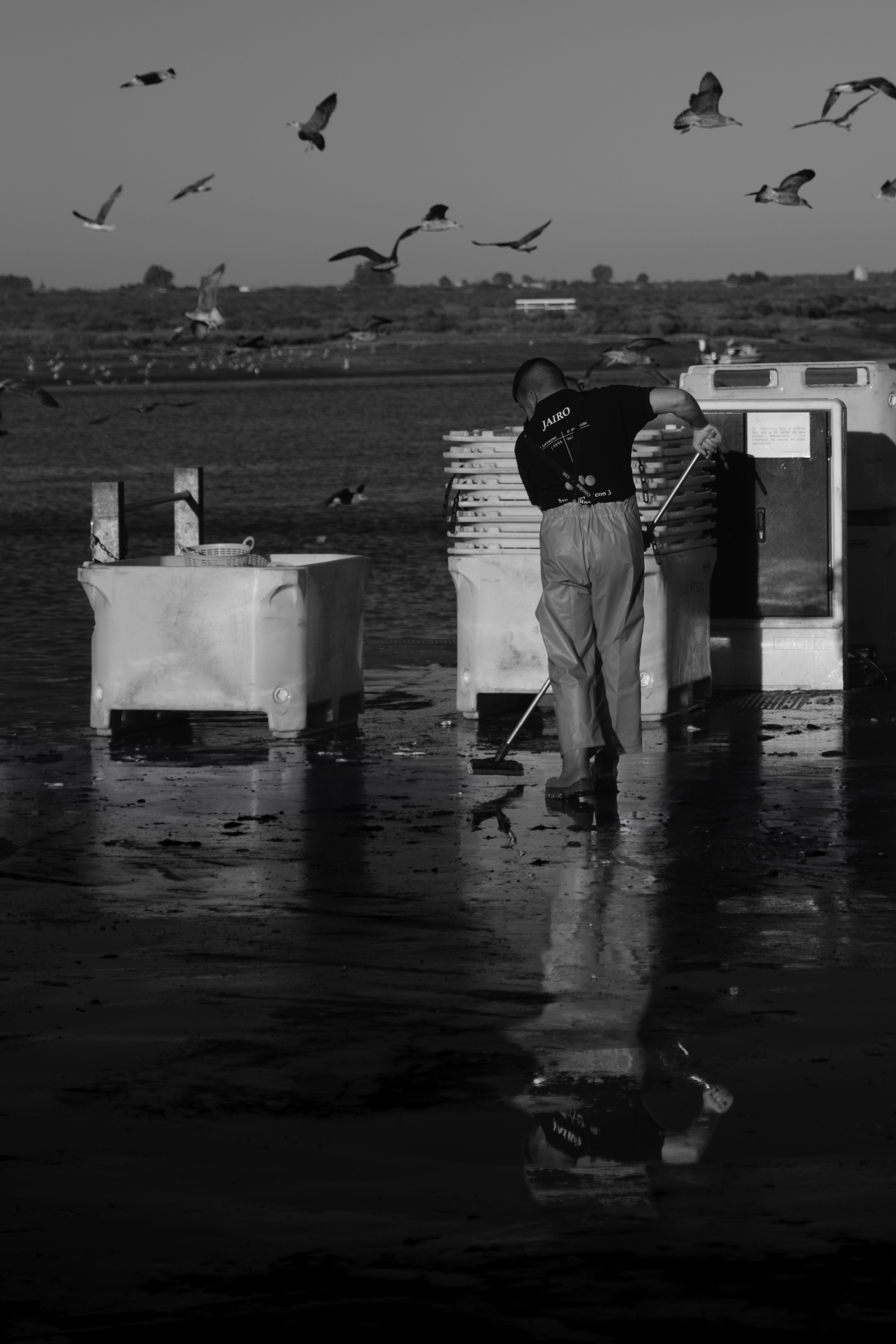 Trabajo y vuelo